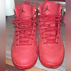 Brand new Jordan 12 red
